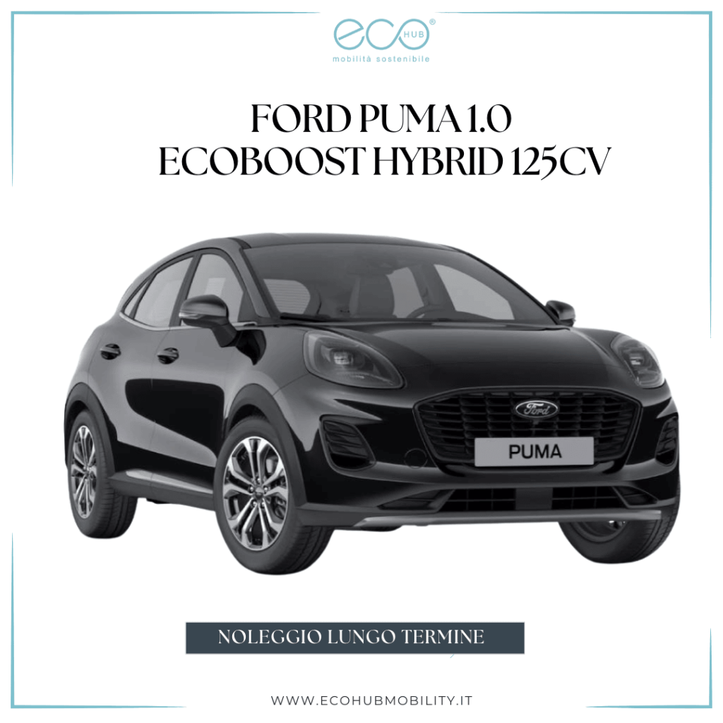 Ford puma noleggio lungo termine reggio calabria