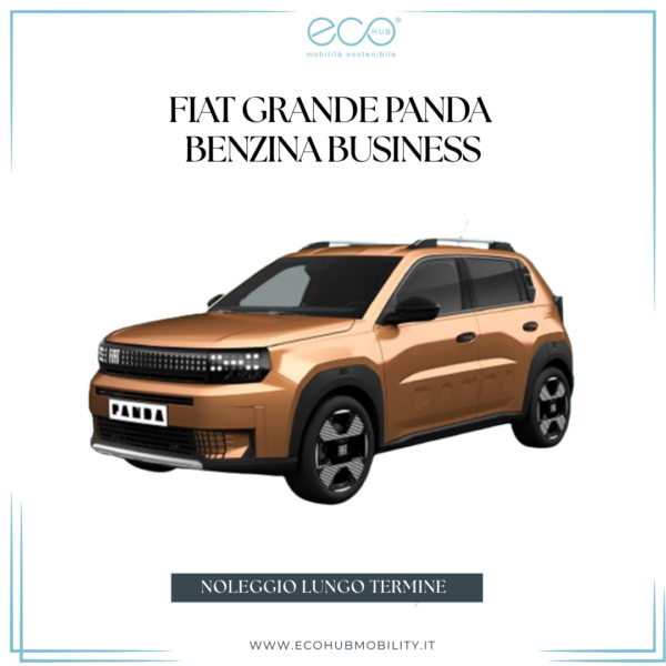 FIAT GRANDE PANDA Benzina Business